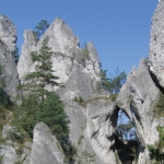 prírodné pamiatky