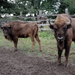 zoo a zooparky, botanické záhrady