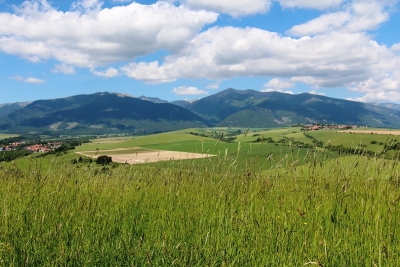 Obrázek č.0