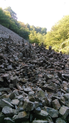 Obrázek č.0