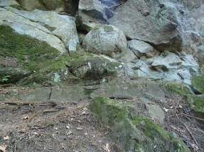 Klokočovské skálie